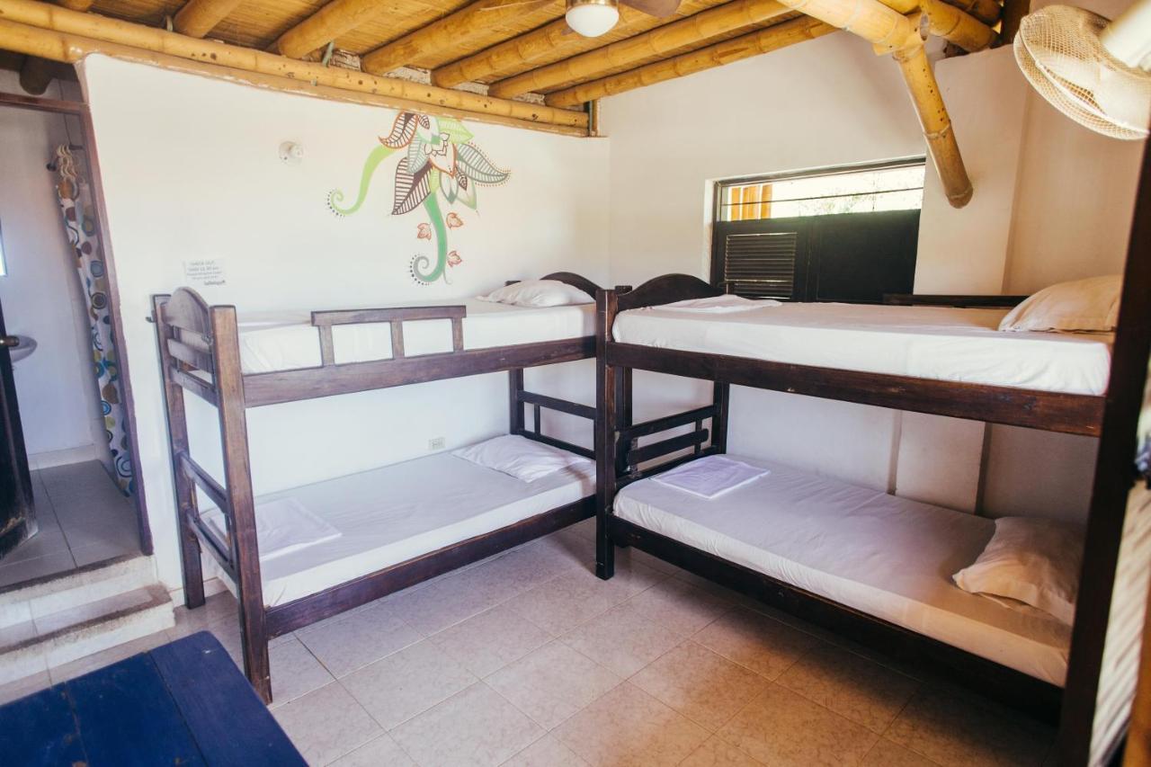 La Tortuga Hostel 塔甘加 外观 照片