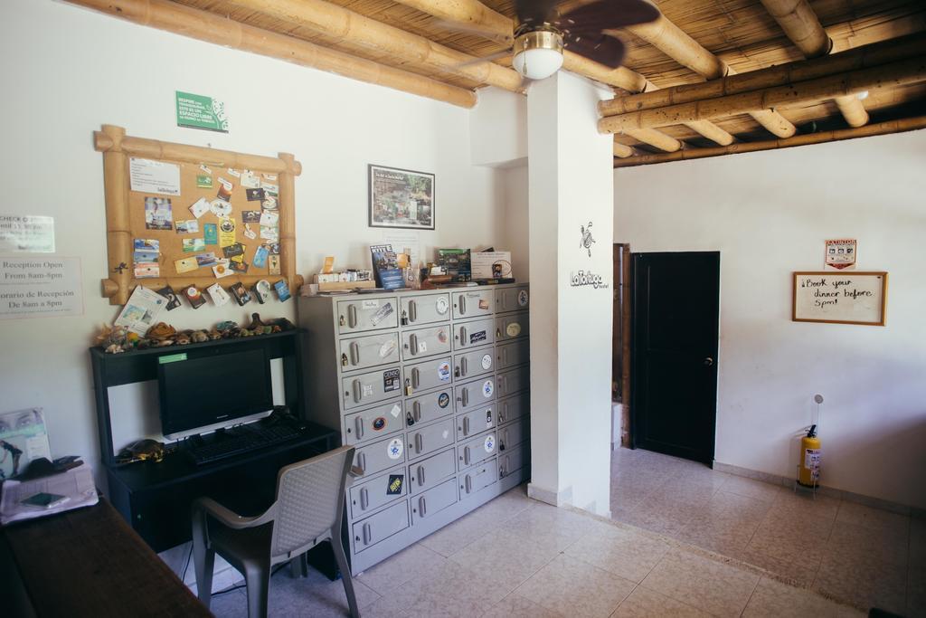 La Tortuga Hostel 塔甘加 外观 照片