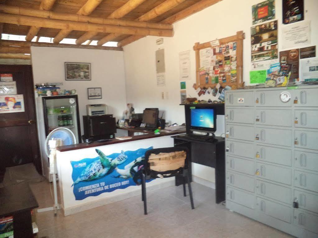 La Tortuga Hostel 塔甘加 外观 照片